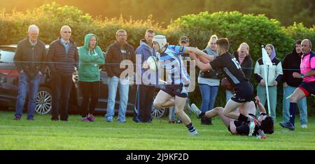 St Clears RFC Youth v Burryport RFC Youth plate final 2022 Stock Photo