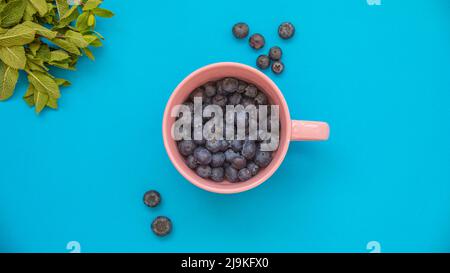 Pink cup full of blueberries on a turquoise blue background and with mint leaves in the upper left corner Stock Photo