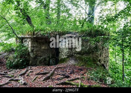 cave of the druids. Dolmen in the forest. A residential structure made of large stones on the territory of the forest Stock Photo