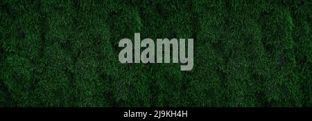 green moss on tree trunk for background Stock Photo