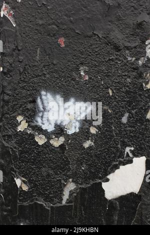 Beautiful monarch butterfly fluttering about while painted on a city wall. Stock Photo