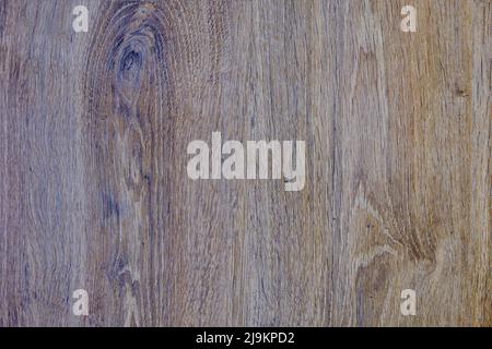 Close-up of a wood texture. Stock Photo