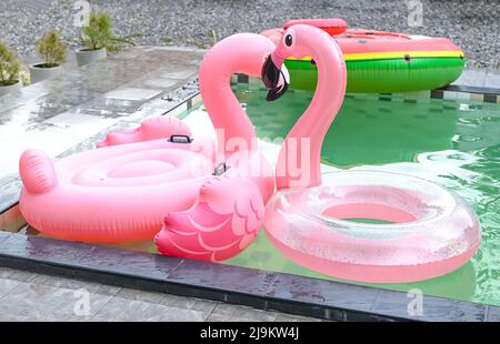 colorful pool float, pink ring floating on the swimming pool, pool rubber ring flamingo Stock Photo