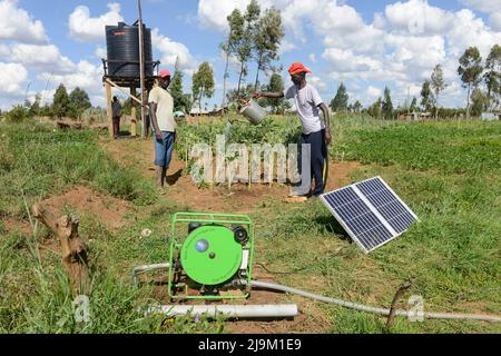 KENYA, town Eldoret, village Kiplombe, farmer uses a mobile Solar PV panel to power a small electric pump to fill water from a well in a tank for drip irrigation of vegetables