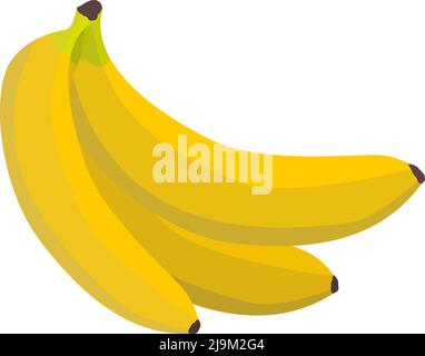 ripe yellow bananas on white background, banana fruit isolated on white, vector illustration Stock Vector