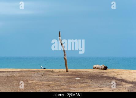Wooden pole and driftwood on deserted beach, Spiaggia di Piscinas, Sardinia, Italy
