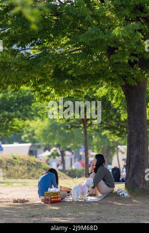 Seoul, South Korea. 24th May, 2022. People cool themselves down at Yeouido Hangang Park in Seoul, South Korea, May 24, 2022. Credit: Wang Yiliang/Xinhua/Alamy Live News Stock Photo