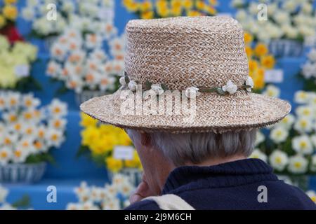 London, UK, 24 May 2022: The RHS Chelsea Flower Show opened to the public today with plant lovers enjoying specialist displays in the marquee as well as the show gardens. Anna Watson/Alamy Live News Stock Photo