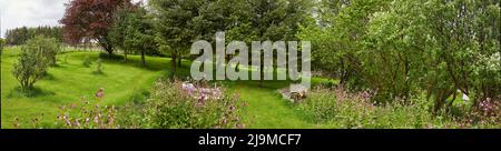 Panoramic view of moorland smallholding garden at 900ft Stock Photo