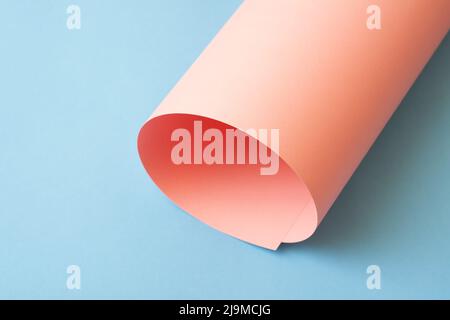 Rolled pink paper on blue background. Stock Photo