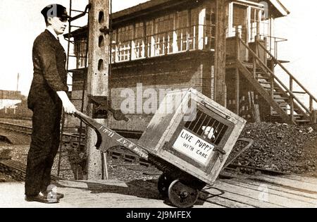 Circa 1930's photograph of a LNER  railway porter transporting a live puppy, with signal box in background Stock Photo