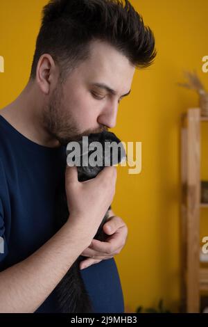 Adult bearded man in dark blue t shirt embracing and kissing black chinchilla on head against yellow wall in daytime at home Stock Photo