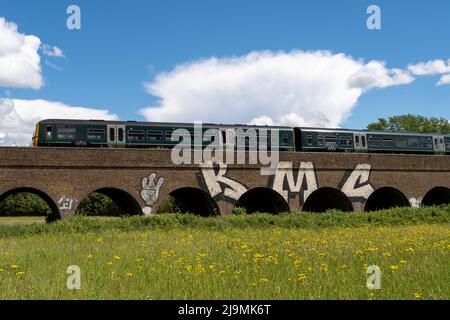 Eton, Windsor, Berkshire, UK. 24th May, 2022. A GWR train crosses the Windsor Railway Viaduct en route from Windsor to Slough. Fields of weeds making a haven for bugs and bees in Eton next to the Windsor Railway Viaduct. It was a day of beautiful warm sunshine today in Eton along with some sharp rain showers. Credit: Maureen McLean/Alamy Live News Stock Photo