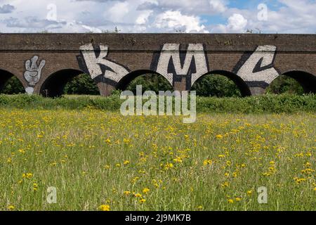 Eton, Windsor, Berkshire, UK. 24th May, 2022. Fields of weeds making a haven for bugs and bees in Eton next to the Windsor Railway Viaduct. It was a day of beautiful warm sunshine today in Eton along with some sharp rain showers. Credit: Maureen McLean/Alamy Live News Stock Photo