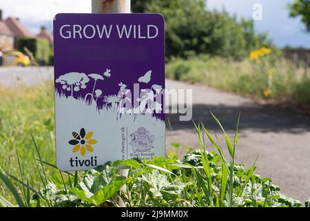 Eton, Windsor, Berkshire, UK. 24th May, 2022. A Royal Borough of Windsor and Maidenhead Grow Wild sign. Some verges are being left to grow throughout the summer without being cut back giving bees and bugs a better chance of survival. Credit: Maureen McLean/Alamy Live News Stock Photo
