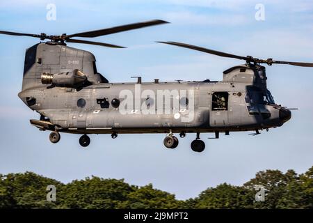 Royal Netherlands Air Force Boeing CH-47F Chinook heavy helicopter taking off from Gilze-Rijen airbase. The Netherlands - September 7, 2016 Stock Photo