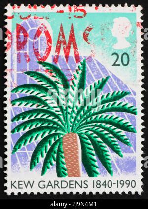 GREAT BRITAIN – CIRCA 1990: a stamp printed in the Great Britain shows Cycad, 150th anniversary of Kew Gardens, circa 1990 Stock Photo