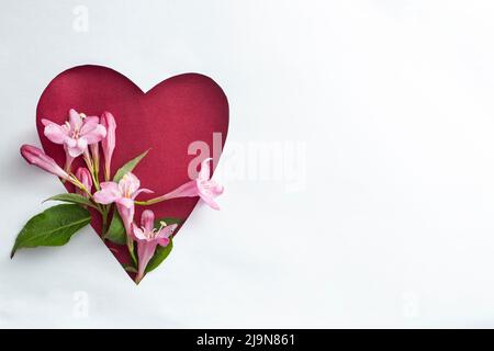 Creative spring layout with flowers and leaves on white paper background. Valentine's day   minimal concept. Heart shape flat lay