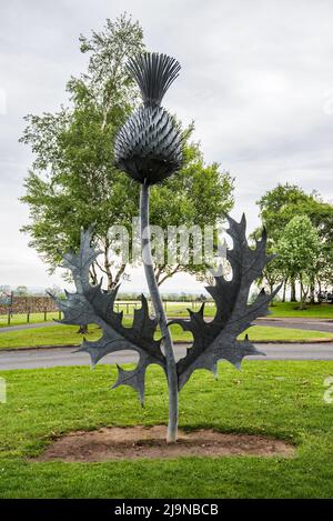 Thistle sculpture., aniconic Ssymbol, next to the entrance to the visitor car park,Gretna Green Scottish wedding venue at the Blacksmiths shop Stock Photo