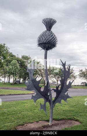 Thistle sculpture., aniconic Ssymbol, next to the entrance to the visitor car park,Gretna Green Scottish wedding venue at the Blacksmiths shop Stock Photo