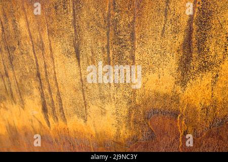 Russet colours of a rusty patterned texture on a metallic surface Stock Photo
