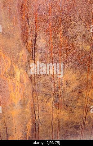 Russet colours of a rusty patterned texture on a metallic surface Stock Photo