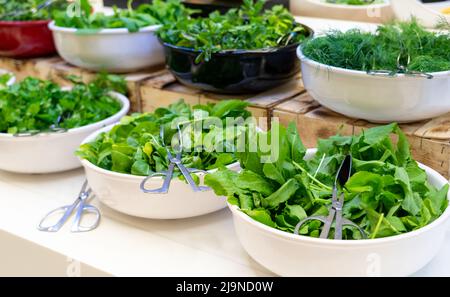 Salad bar with fresh greens in hotel buffet. Concept of healthy eating Stock Photo