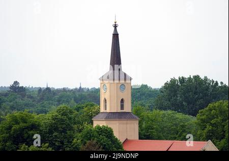 Teltow, Germany. 17th May, 2022. The tower of the church of St. Andrew's Evangelical Church towers above the tops of the trees. Credit: Soeren Stache/dpa/Alamy Live News Stock Photo