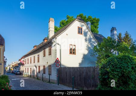 Wien, Vienna: house of Heiligenstädter Testament or Testamentshaus, located at Probusgasse 6 in Heiligenstadt, museum. The name comes from the fact th Stock Photo