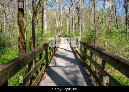 Outdoors above ground at Mammoth Cave National Park Stock Photo