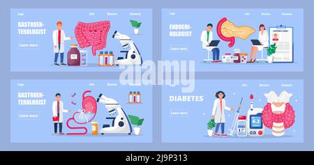 Pancreas, stomach, intestines doctors examine. Endocrinologists diagnose and treat human thyroid gland. Hypothyroidism, pancreatitis concept vector in Stock Vector