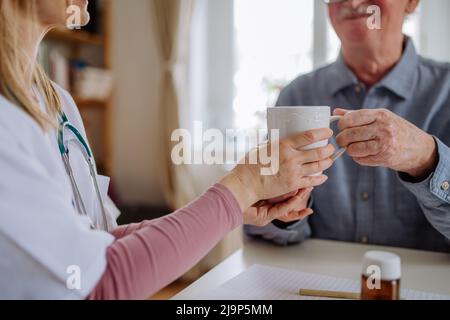 Close-up of doctor holding cup of tea and talking with senior man during medical visit at home. Stock Photo