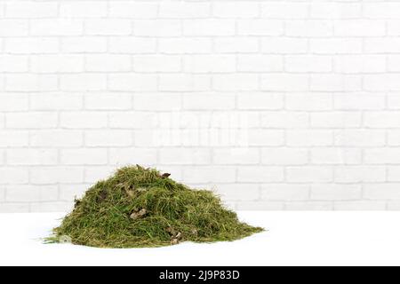 Gardening Heap of Grass Cuttings on a clean white surface, with modern, white brick background Stock Photo