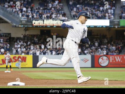 Bronx, United States. 24th May, 2022. New York Yankees Jose Trevino  celebrates with Aaron Judge after hitting a walk off RBI single in the 11th  inning against Baltimore Orioles at Yankee Stadium