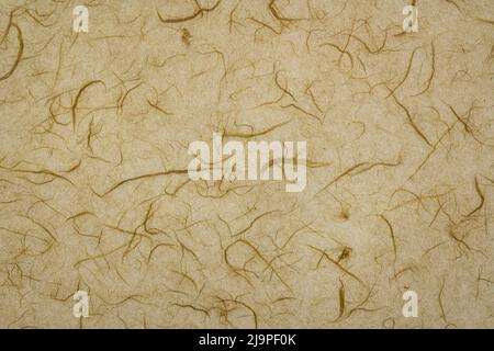 background of light brown backlit, handmade, mulberry paper with fiber inclusions Stock Photo