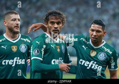 Deportivo Tachira vs Palmeiras prediction, preview, team news and more