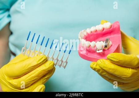 Human jaw layout and interdental toothpick brushes Stock Photo - Alamy