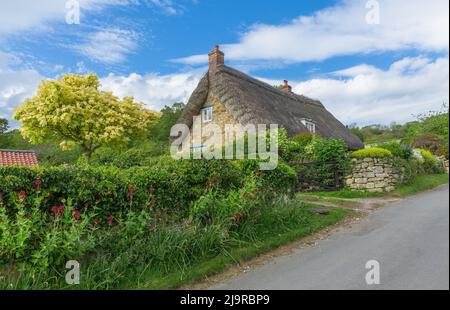 Rievaulx, North Yorkshire, UK.  May 21 2022. A chocolate box cottage with thatched roof in the tranquil and picturesque village of Rievaulx in North Y Stock Photo