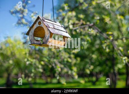 Bird feeder hanging on apple tree. Birdhouse on tree. Branch of apple tree with bird house. Nest box in public park for bird feed. The delicate blosso Stock Photo