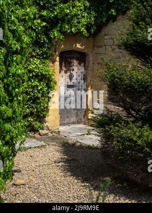 Old weathered wooden door set in Cotswold stone surrouned by shrubbery in a courtyard in the town of Broadway, Worcestershire, UK Stock Photo