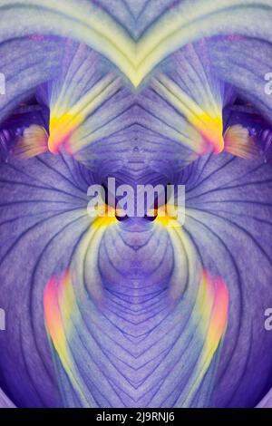 Abstract Iris flowers Stock Photo