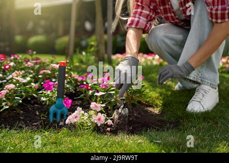 Close up of young woman in gloves using gardening tools for planting flowers on back yard. Young woman in casual clothes enjoying work at summer garden. Stock Photo