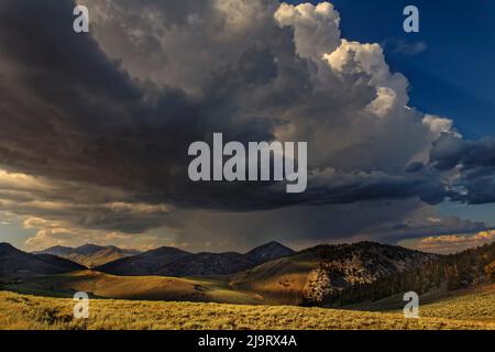 Storm clouds rolling in at sunset, White Mountains, Inyo National Forest, California Stock Photo