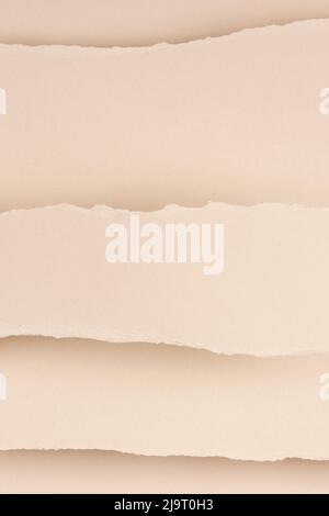 Torn paper textured collage background. Grunge ripped pastel paper pieces with ragged edge paper background. Top view, copy space Stock Photo