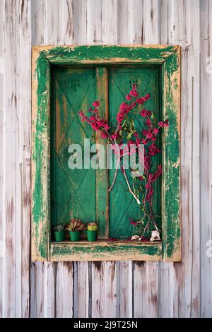 Green wooden antique window frame with shutters and decorated with flowers on steel wall plate. Stock Photo