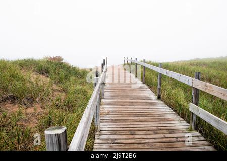 USA, Minnesota, Duluth, Park Point, Boardwalk over Dunes Stock Photo