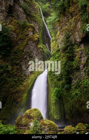 Wahclella Falls along Tanner Creek, Columbia River Gorge, Oregon Stock Photo