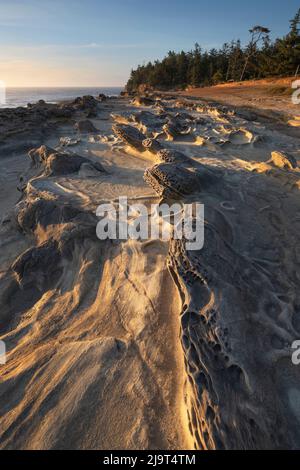 Eroded sandstone concretions and formations at Shore Acres State Park, Oregon. Stock Photo