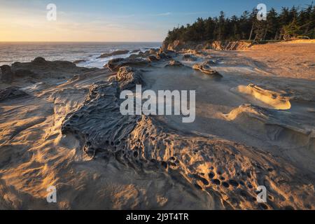 Eroded sandstone concretions and formations at Shore Acres State Park, Oregon. Stock Photo