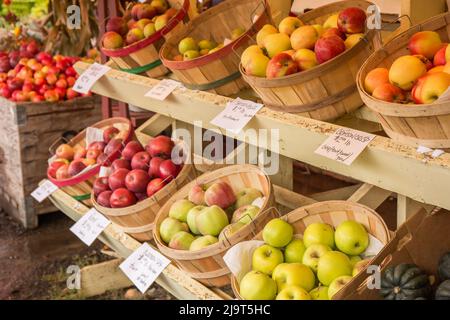 Hood River, Oregon, USA. Crimson Crisp, Northern Spy, Spitzenburg, Rome and other apples for sale at a fruit stand. Stock Photo